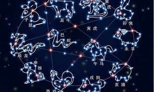 年11月8日是什么星座-年阳历11月8日